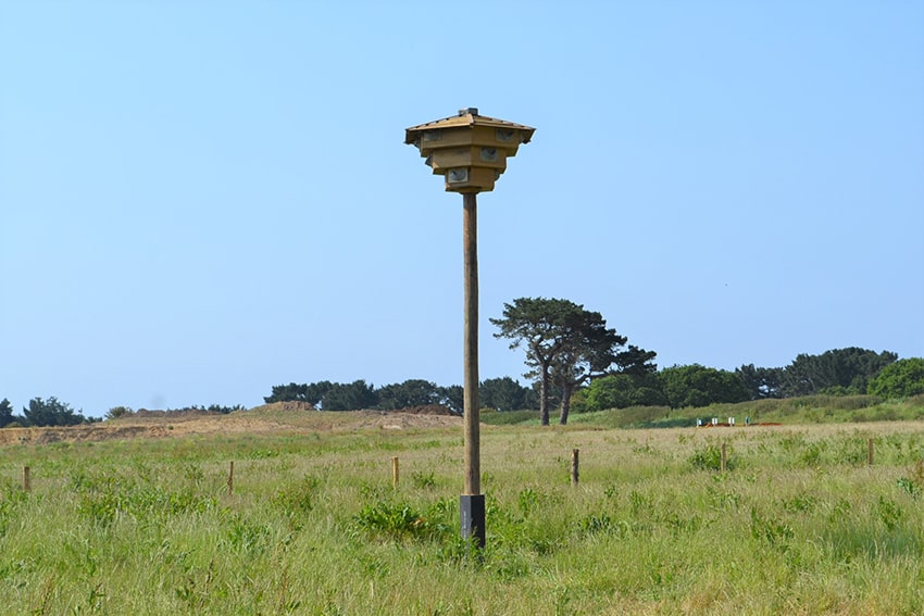 House Martin Tower