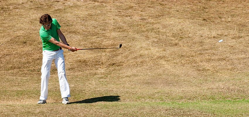Dry Golf Course Grass