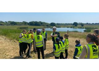 Primary School Students visit for Bumblebee Safari