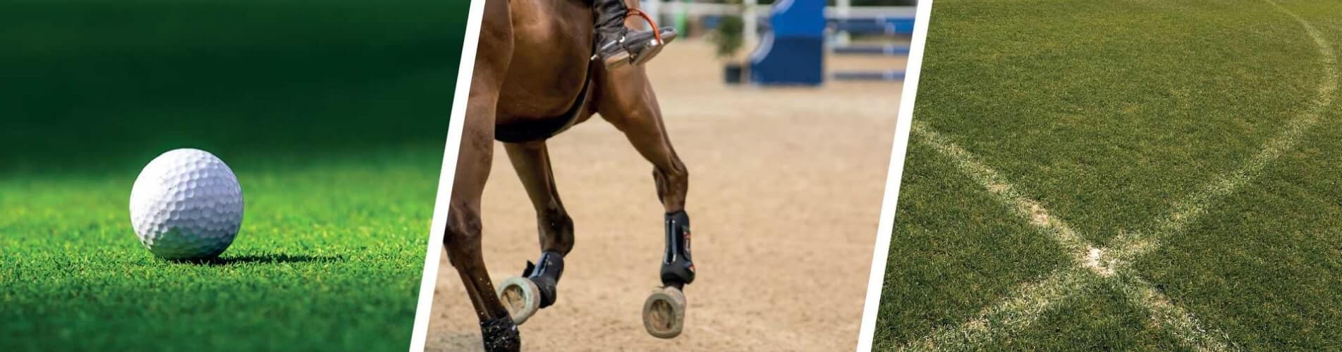 sporting-and-horticultural-banner-min